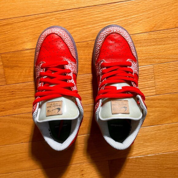 *SAMPLE* 1 of 1? Nike SB Dunk Stingwater RARE Size stamped look see promo - Picture 7 of 10